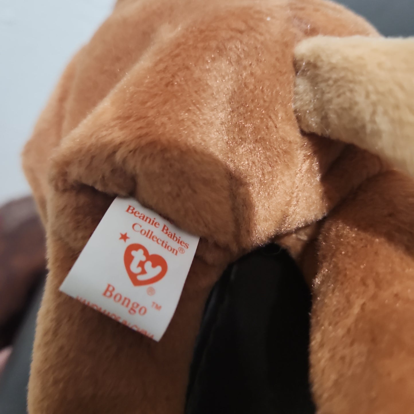 Bongo Beanie Baby