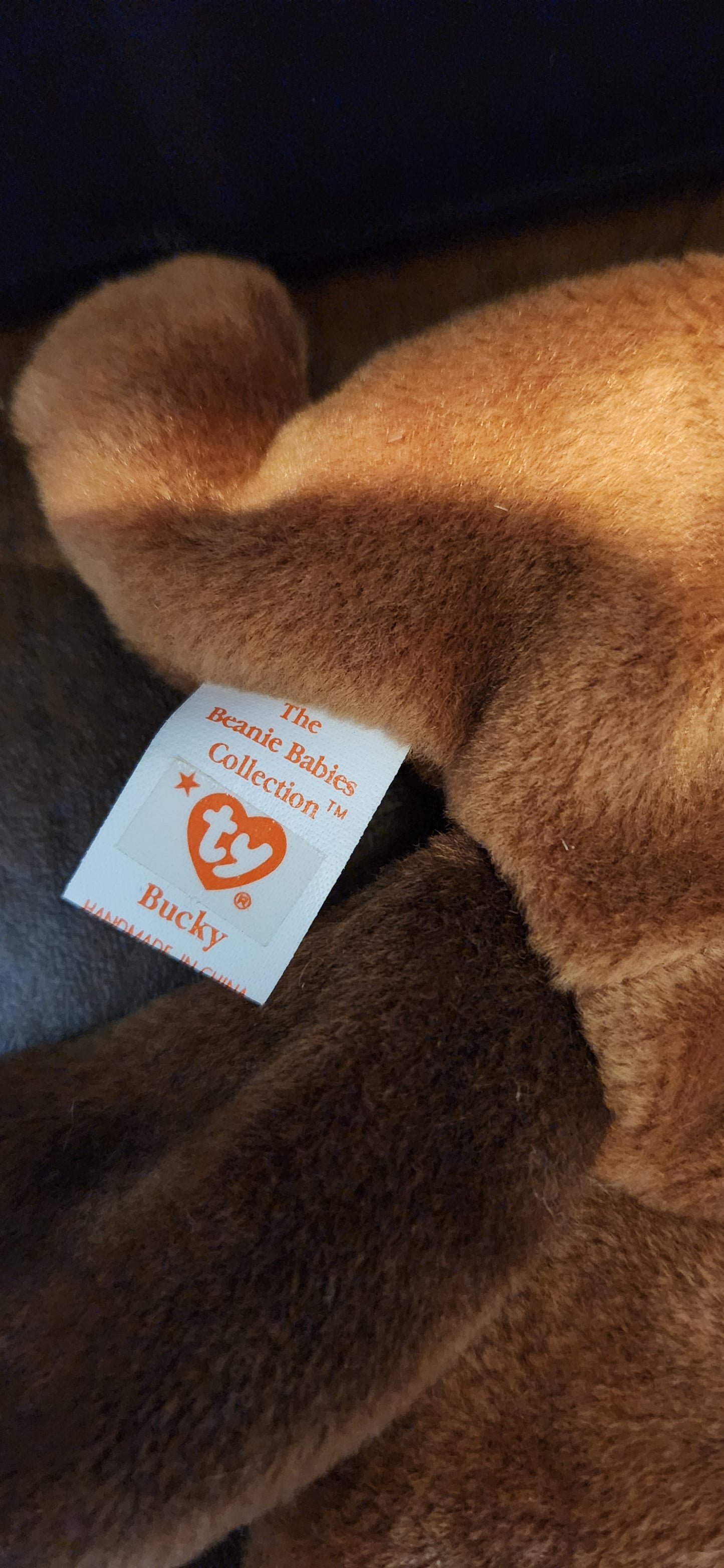 Bucky Beanie Baby